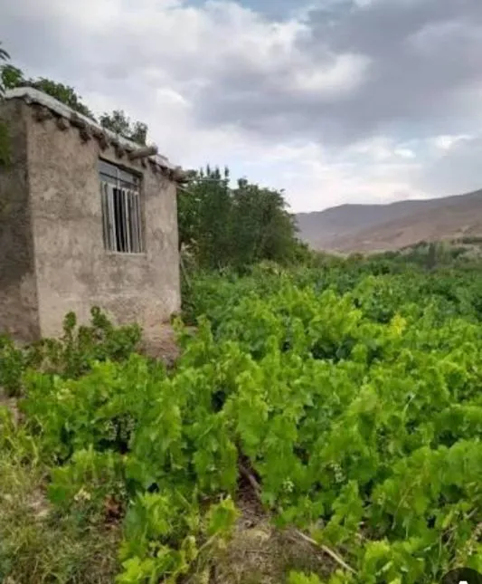 فروش باغ 